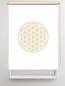 Preview: Rollo Blume des Lebens gold blanco    - Sichtschutz Extartiqe